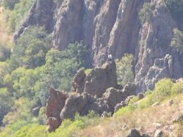 <<Խուստուփ>> արգելավայրի խոտածածկ տարածքներում շարունակվում են ծխացող օջախների մարման աշխատանքները